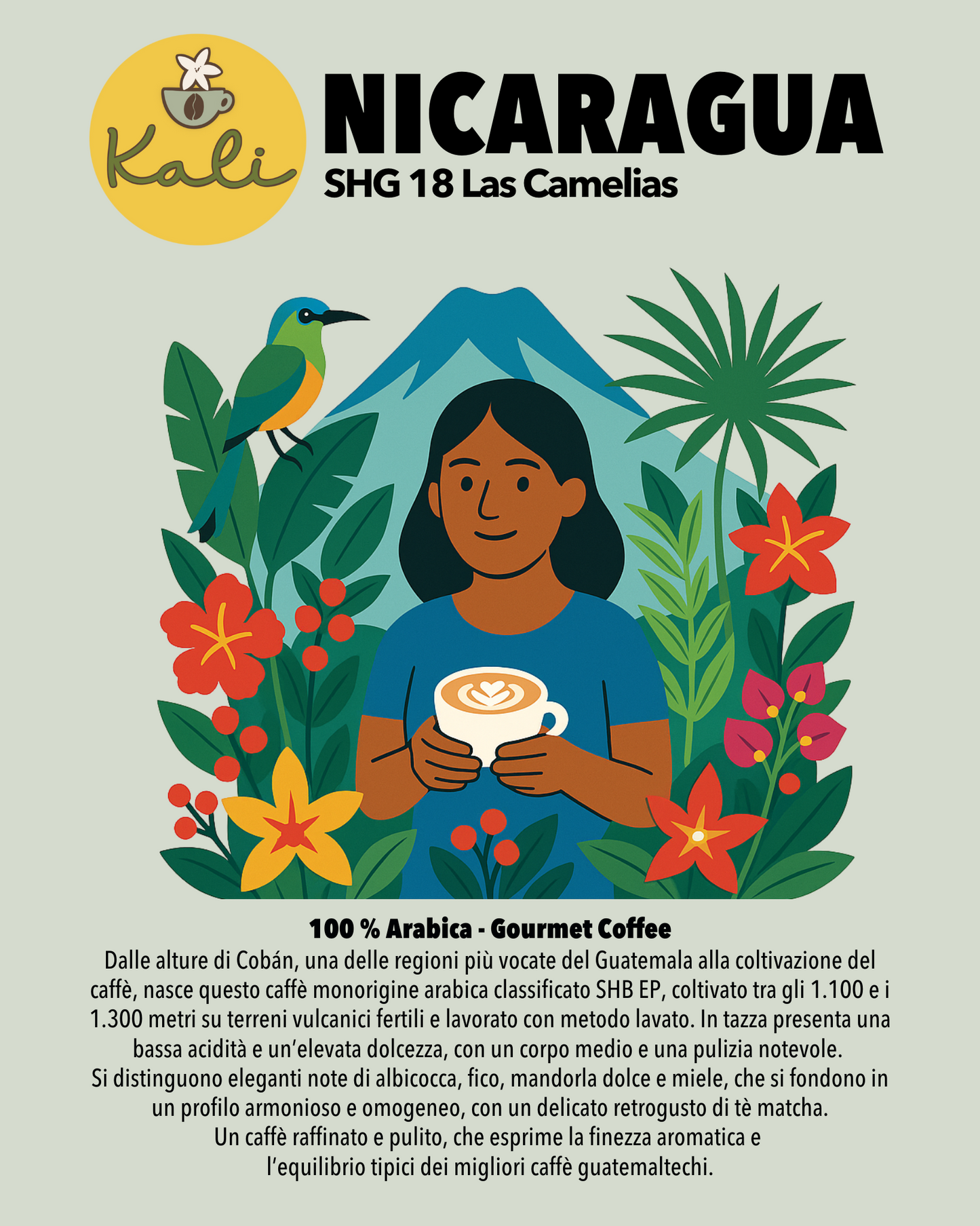 Nicaragua SHG 18 Las Camelias 200 gr