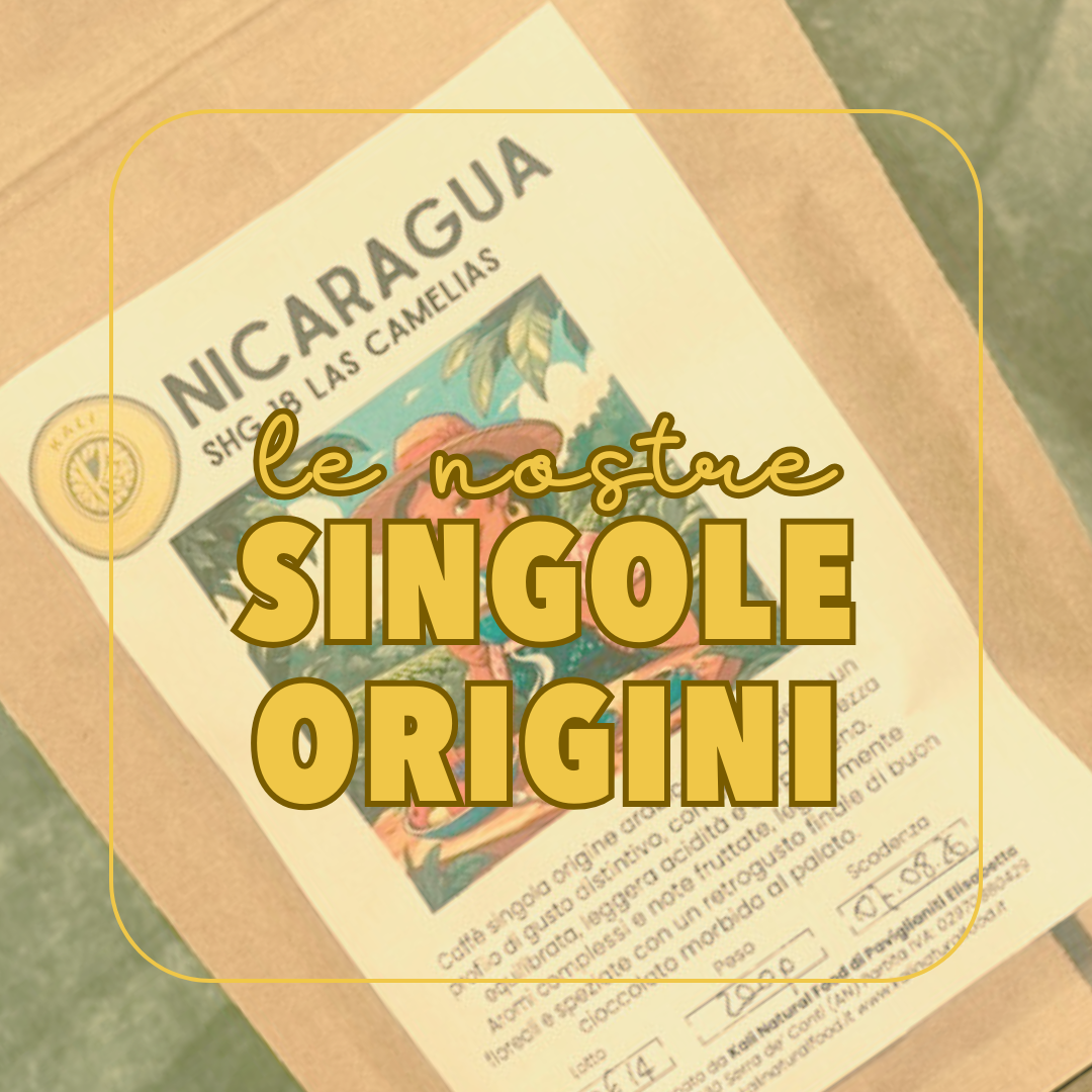 SINGOLE ORIGINI