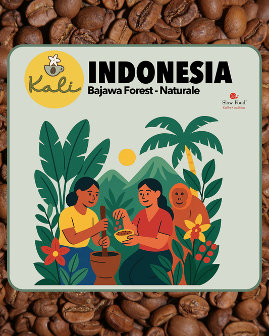 Indonesia Bajawa Forest Naturale 200 gr
