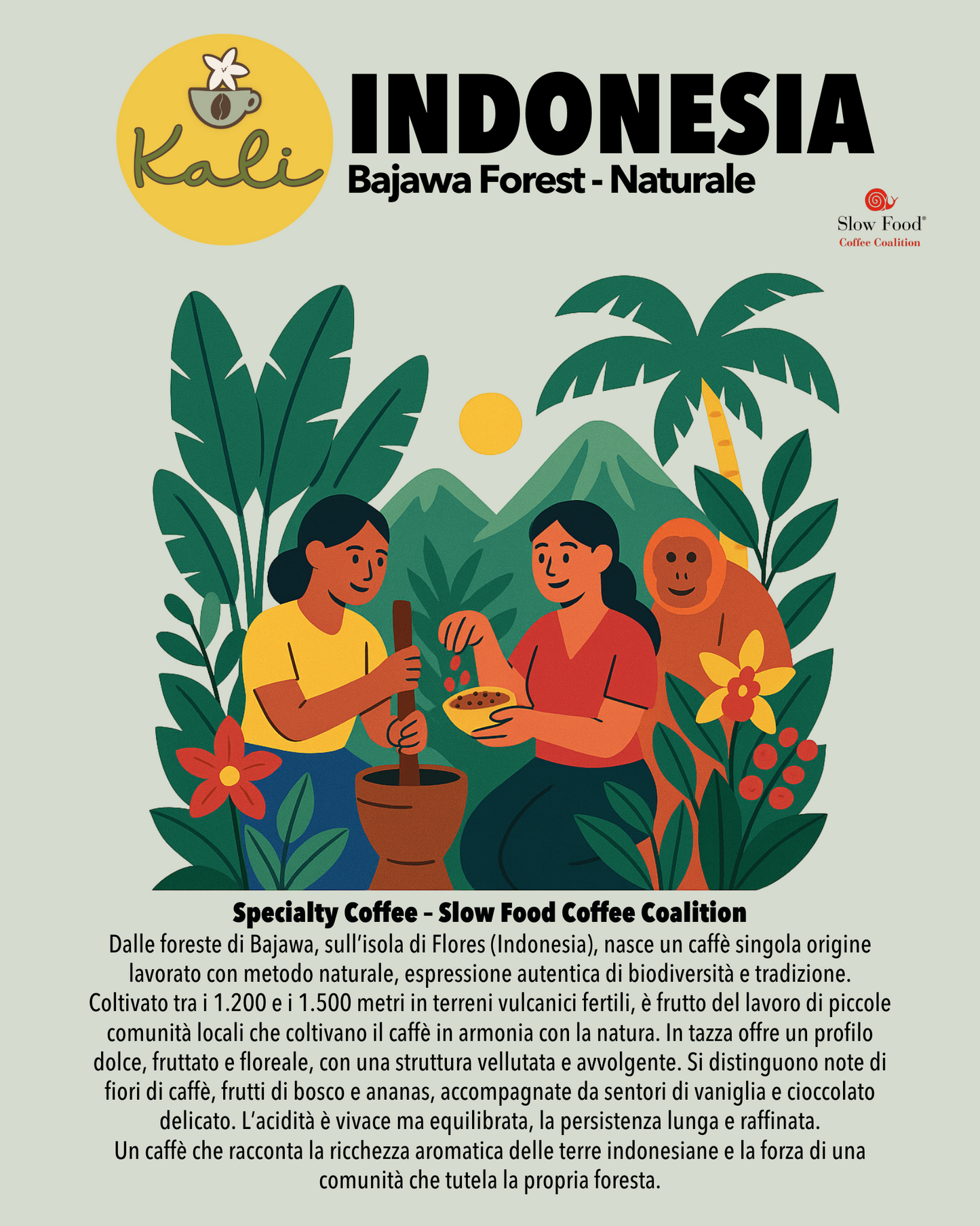 Indonesia Bajawa Forest Naturale 200 gr