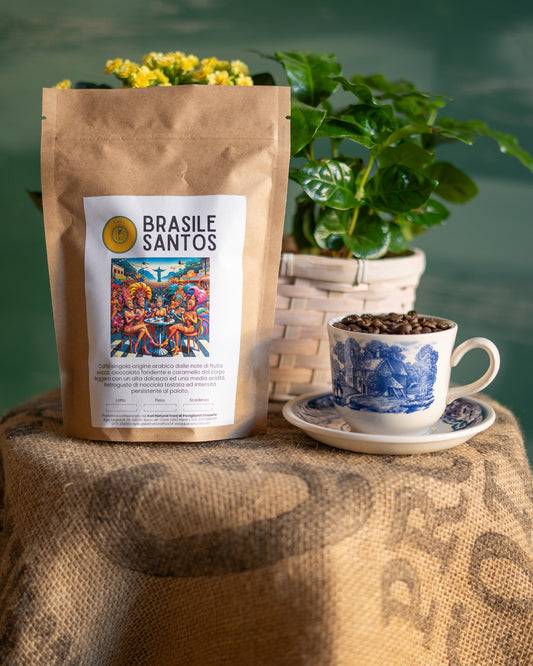 Brasile Monorigine 100% Arabica 250 gr