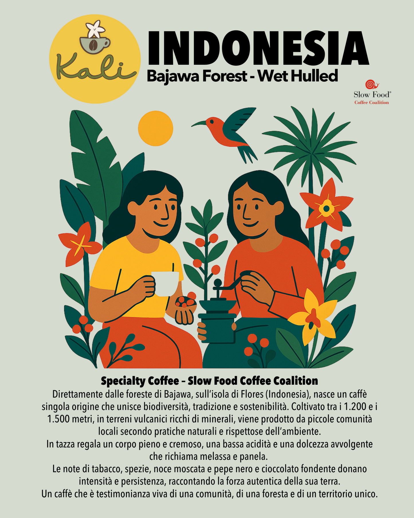 Indonesia Bajawa Forest Wet Hulled 200 gr